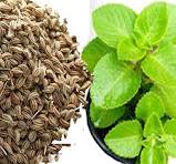 Ajwain